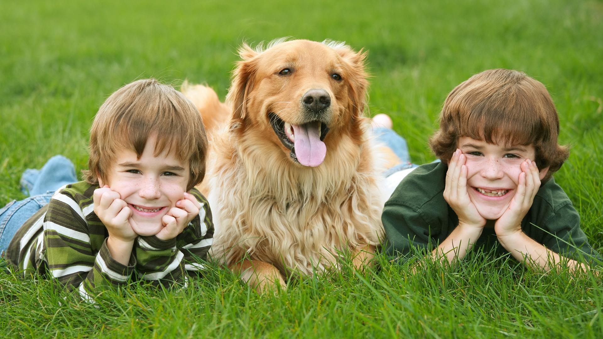 Fisio sviluppo: i cani, un valido aiuto