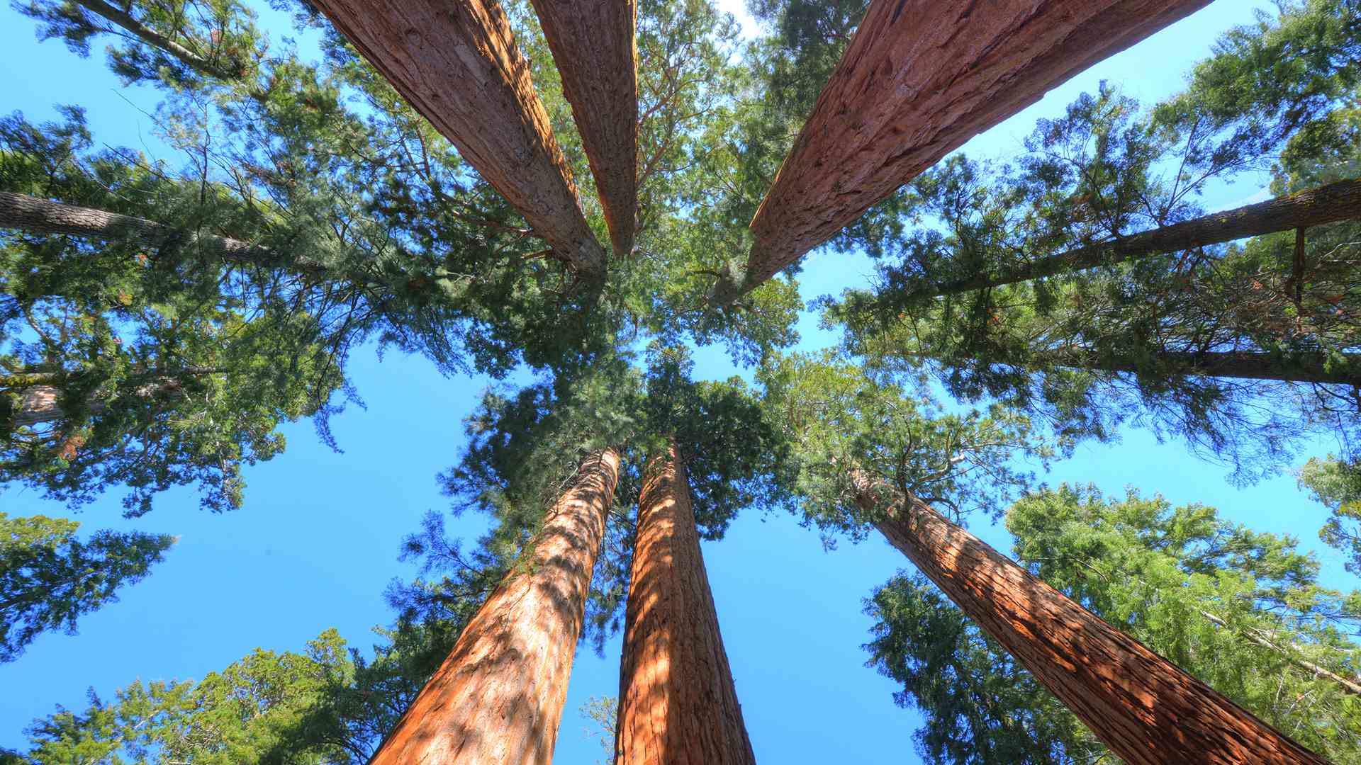 dreamstime_m_32944118 (1)