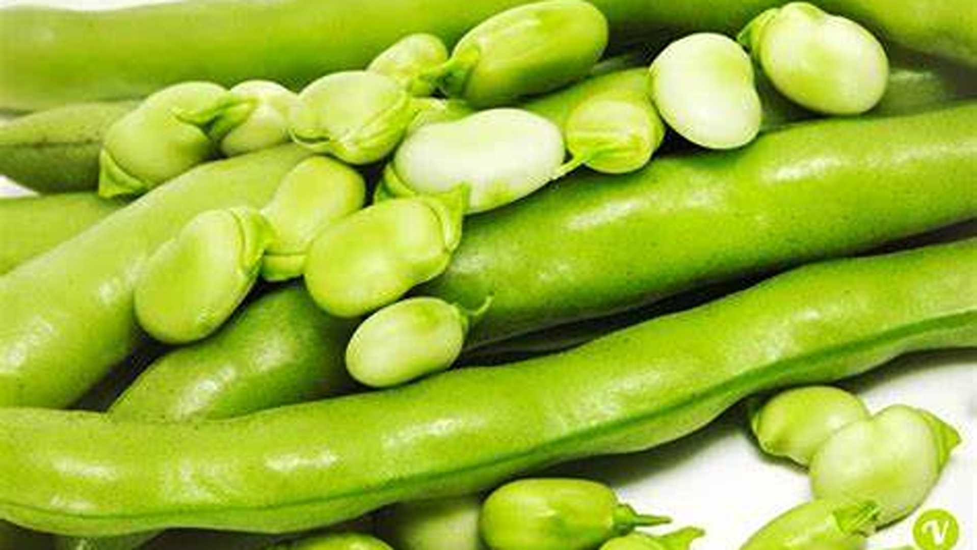 Quando l’amore è verde: piante per il sistema nervoso