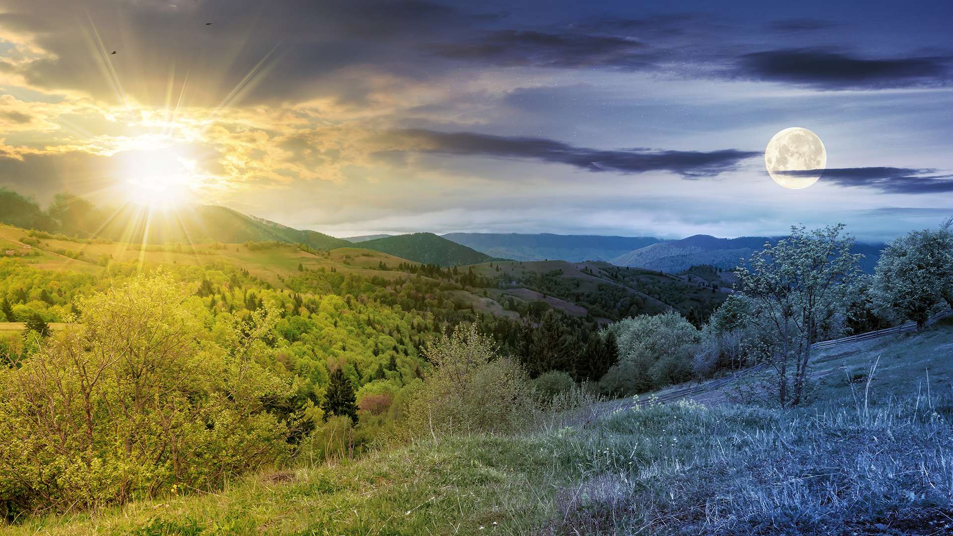Dalle stelle alla… terra