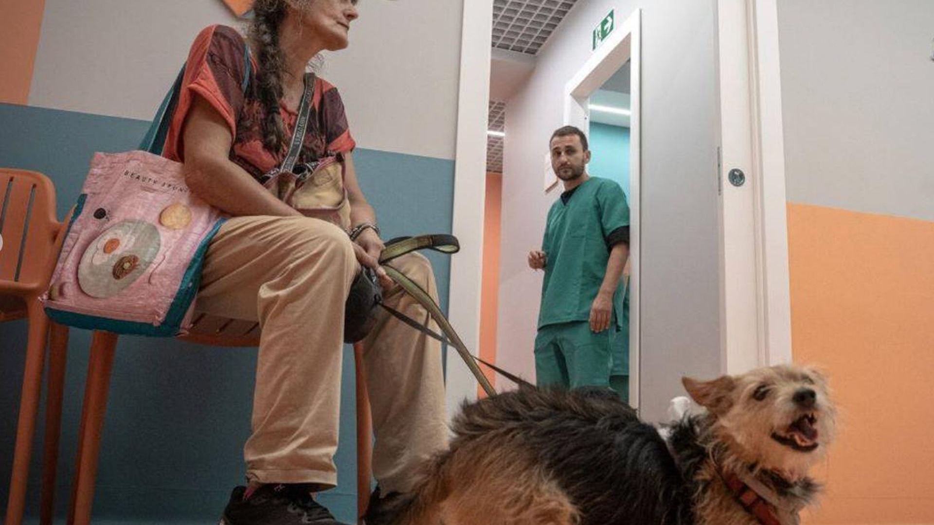 Inaugurato a Roma il primo ambulatorio di veterinaria sociale