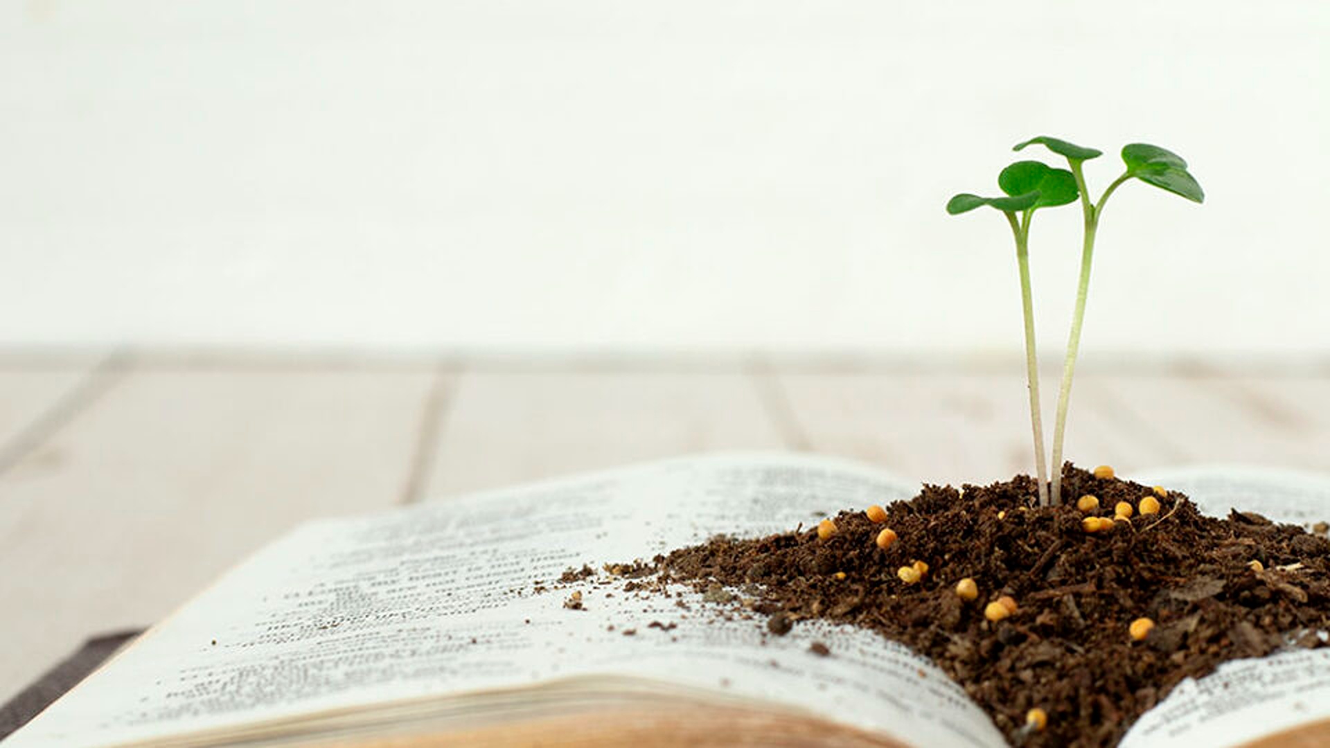 Delusione o speranza