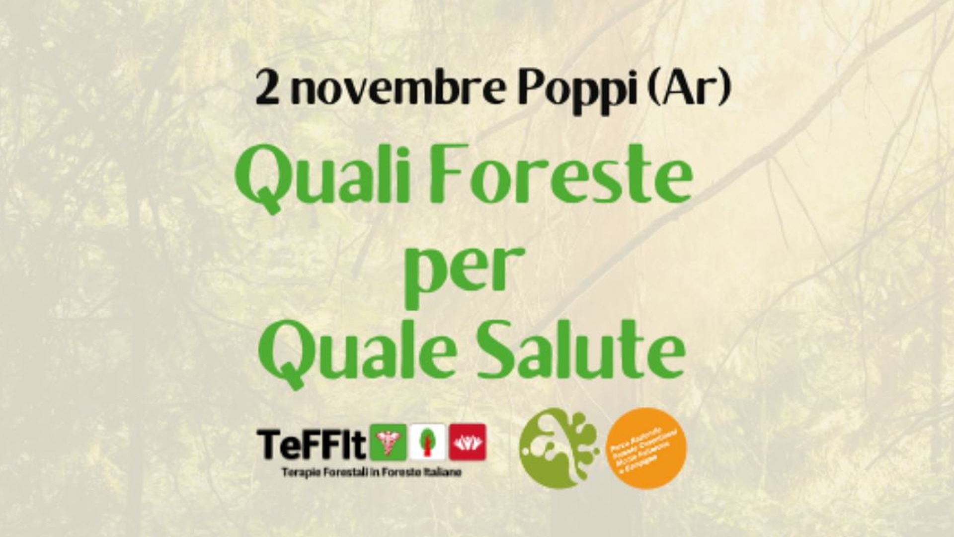Le foreste come efficace terapia naturale, e non solo!
