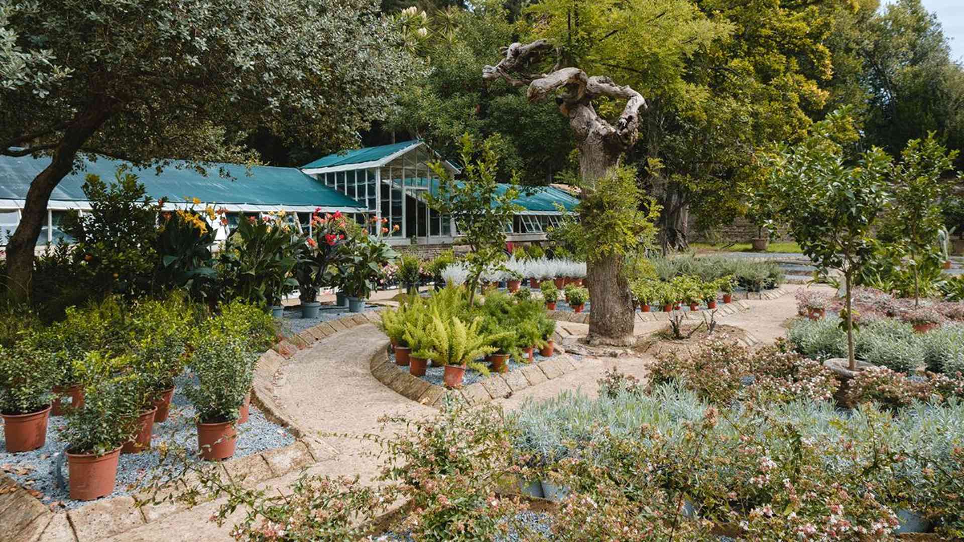 Reggia di Caserta, riaperte le storiche serre
