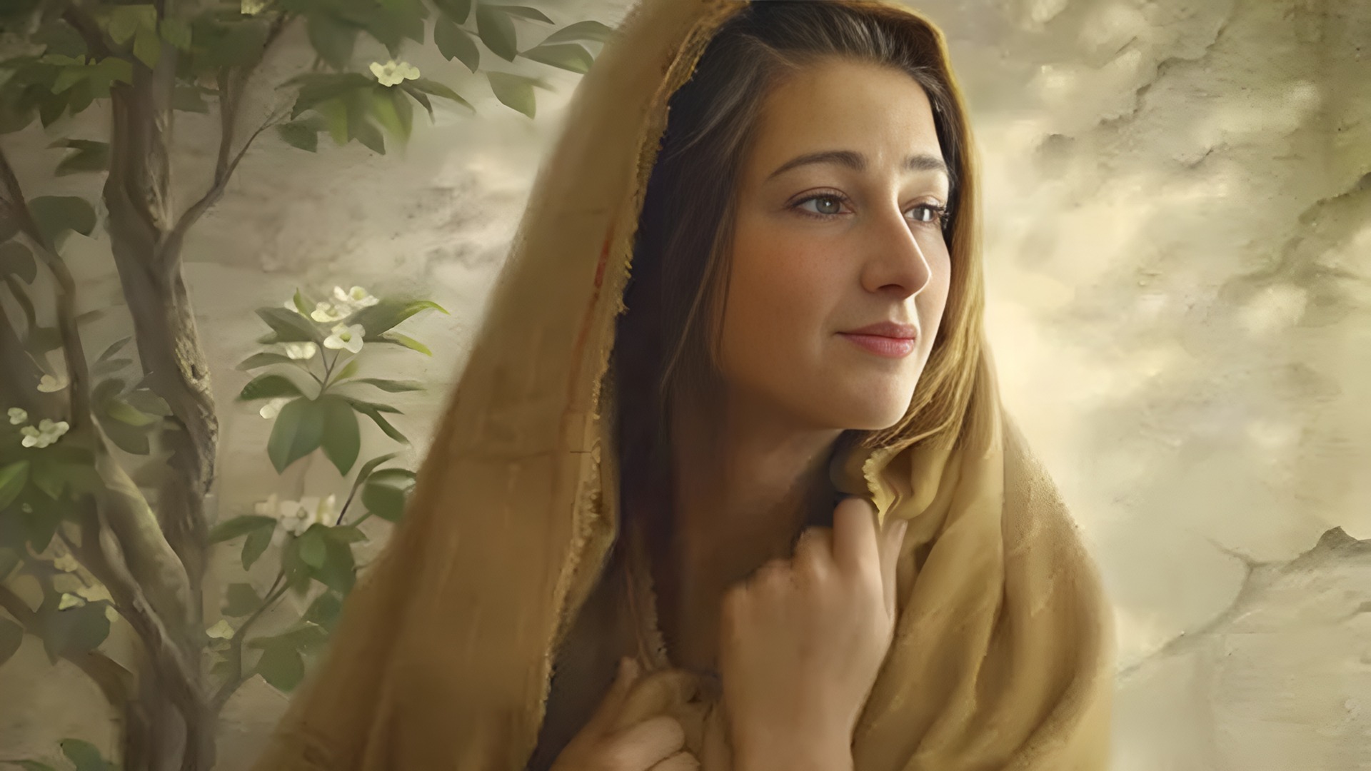 Storia del cristianesimo: Immacolata Concezione