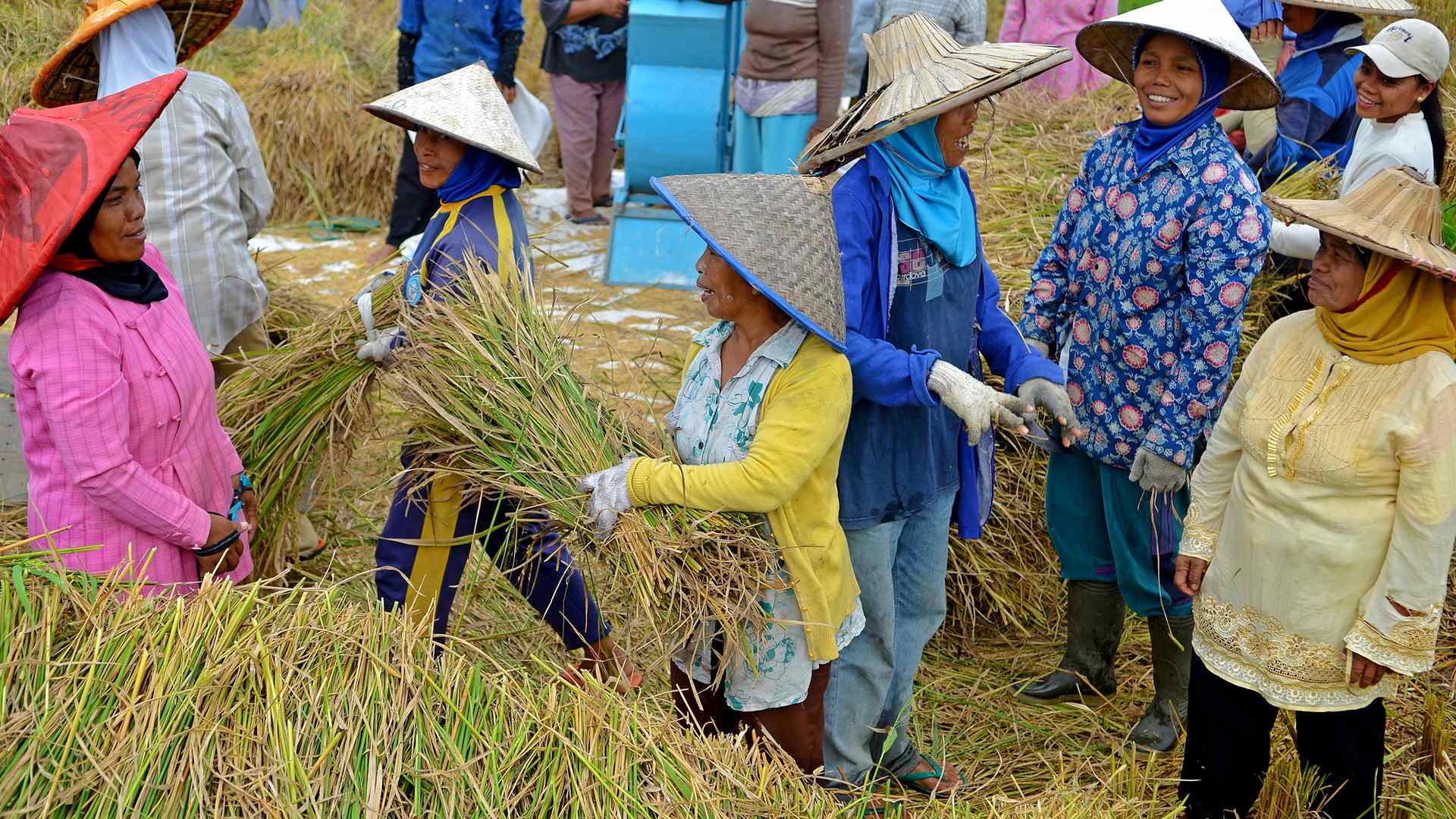 L’appello del martedì: donne rurali