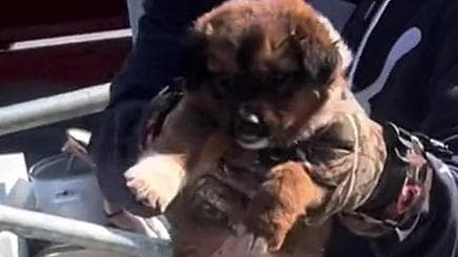 074823003-788295e1-3663-407d-966f-ada6725768f8 (1)