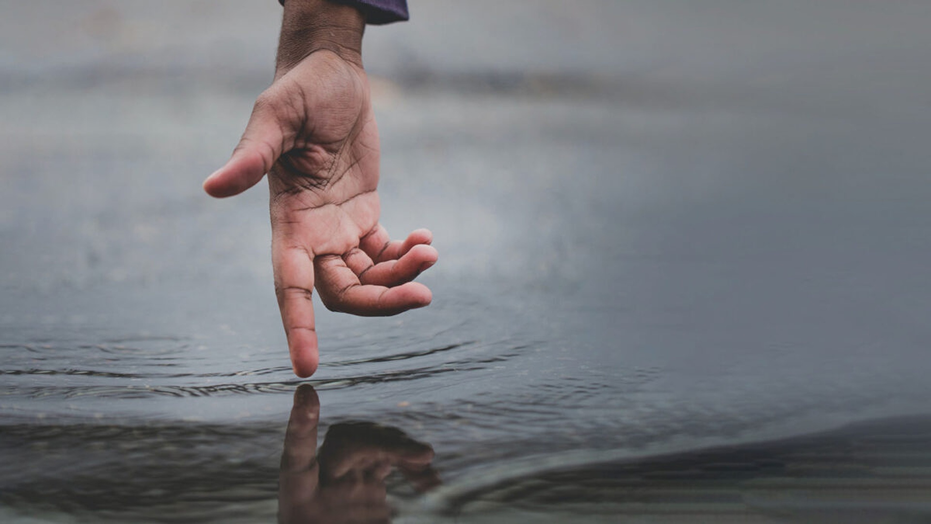 AW1_1_22_0017_16-nick-moore-66aKwlV815c-unsplash-1200×675