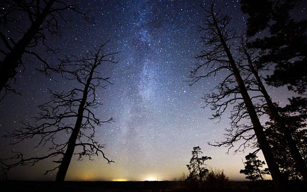 Dalle stelle…alle capre