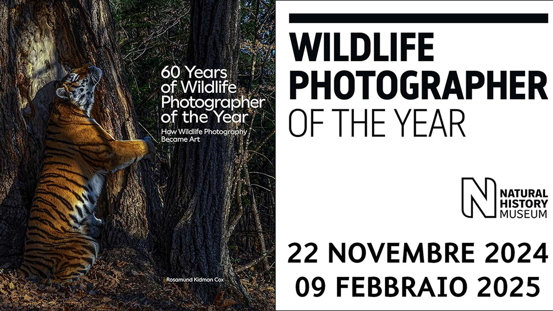 A Milano la mostra Wildlife Photographer of the Year 2024