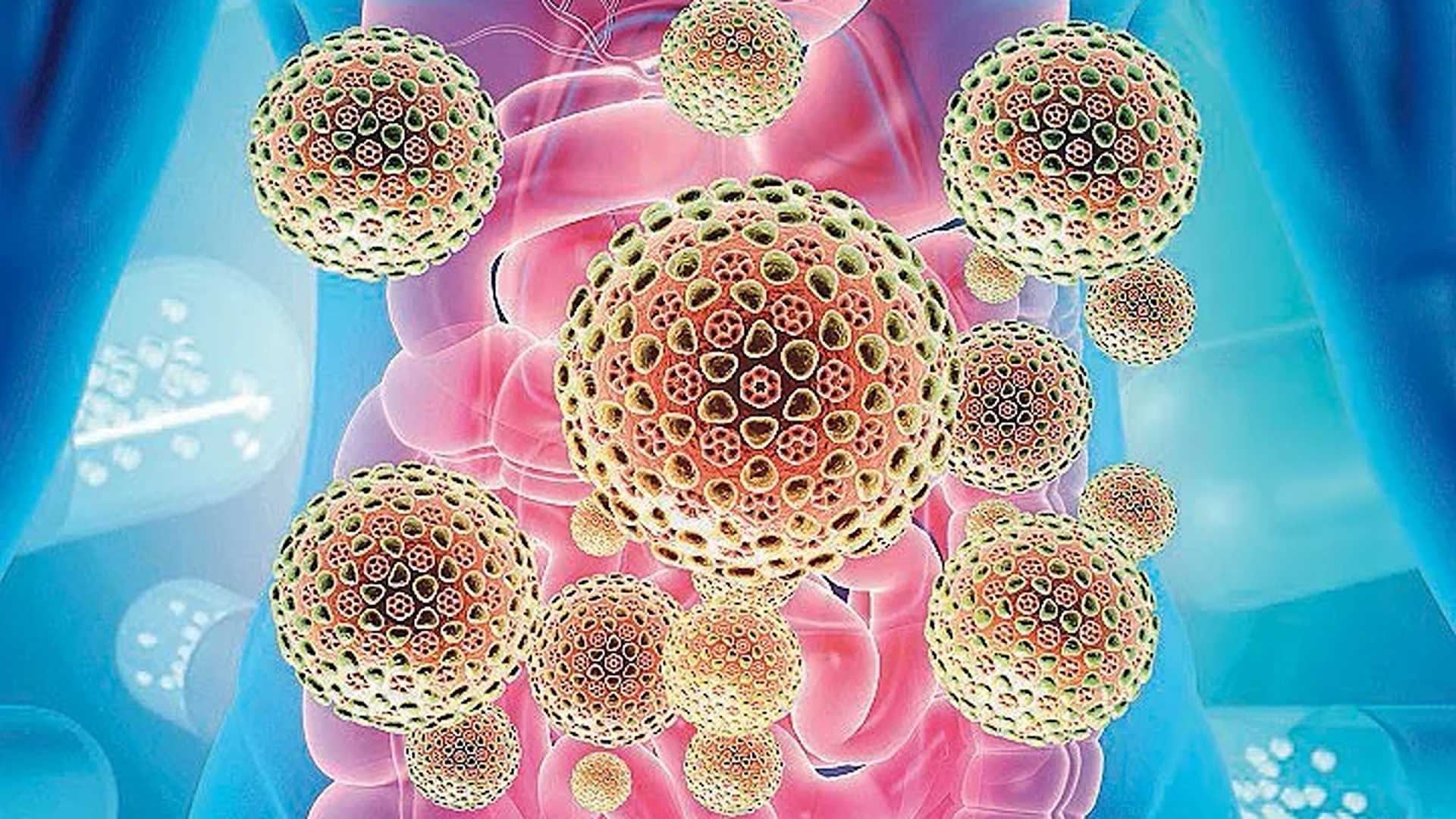 Di tutto un web – I microbi dell’intestino dipendono dalle nostre amicizie!