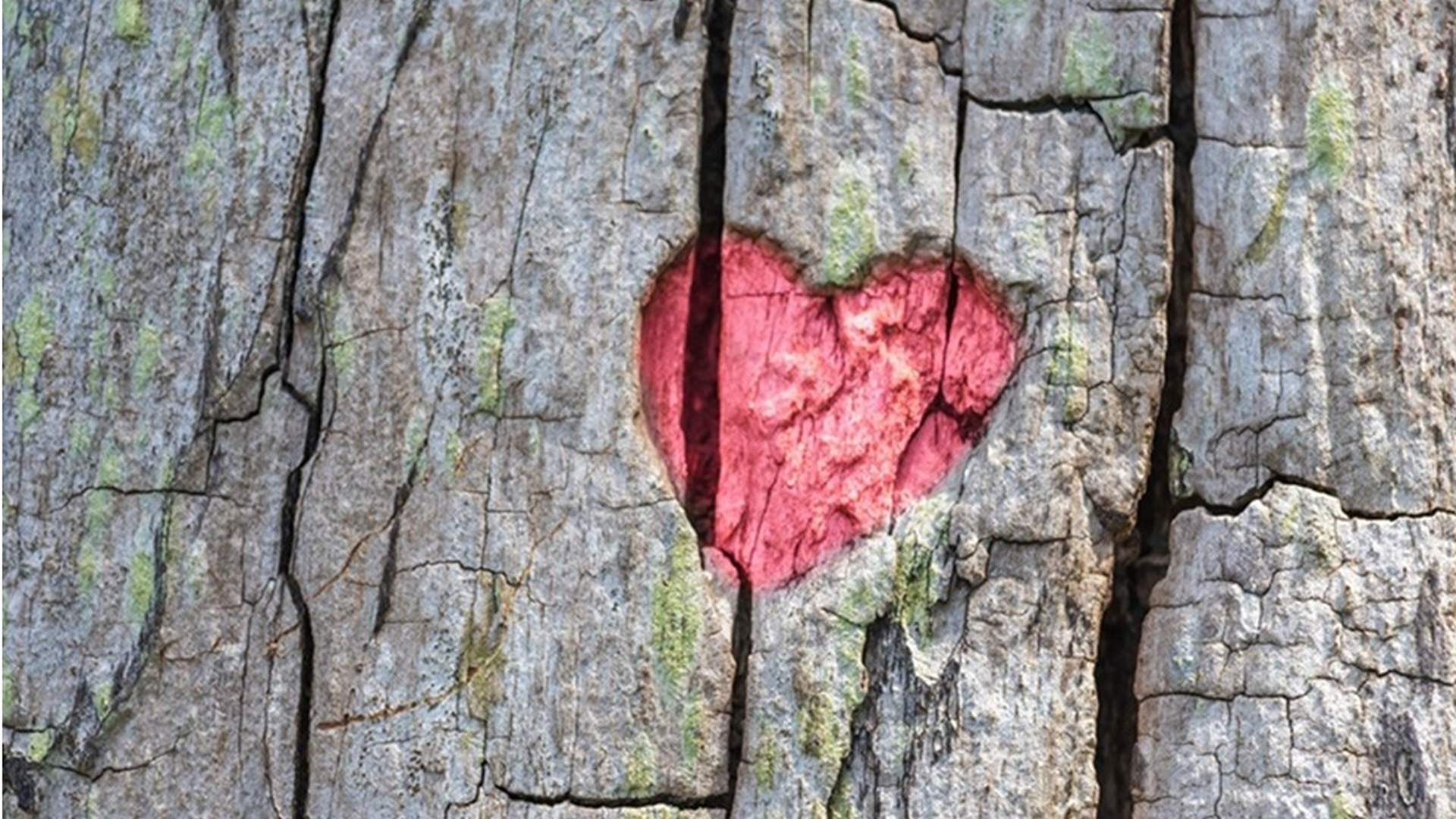 Ricordiamoci di ricordare