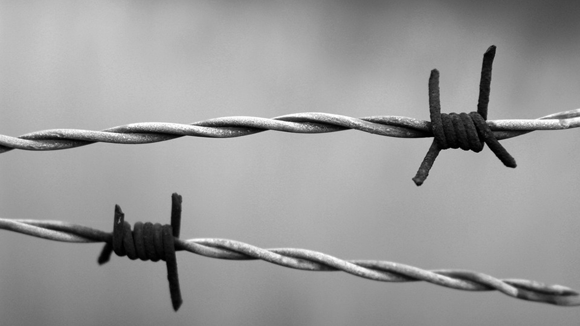 La memoria della Shoah 80 anni dopo