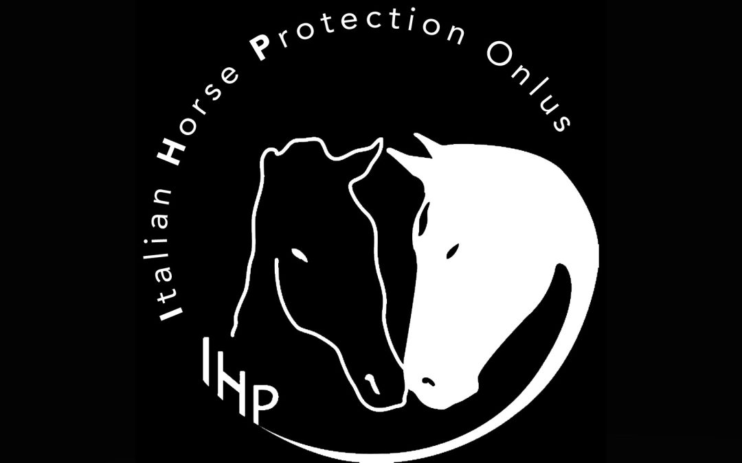 Solidarietà umana e rispetto verso gli animali