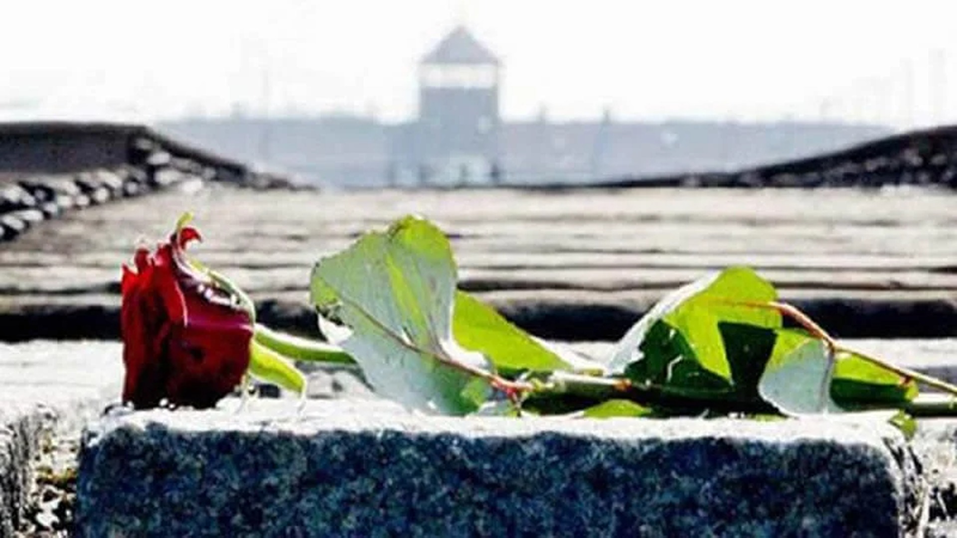 Giornata della Memoria, onorare il passato per costruire un futuro migliore