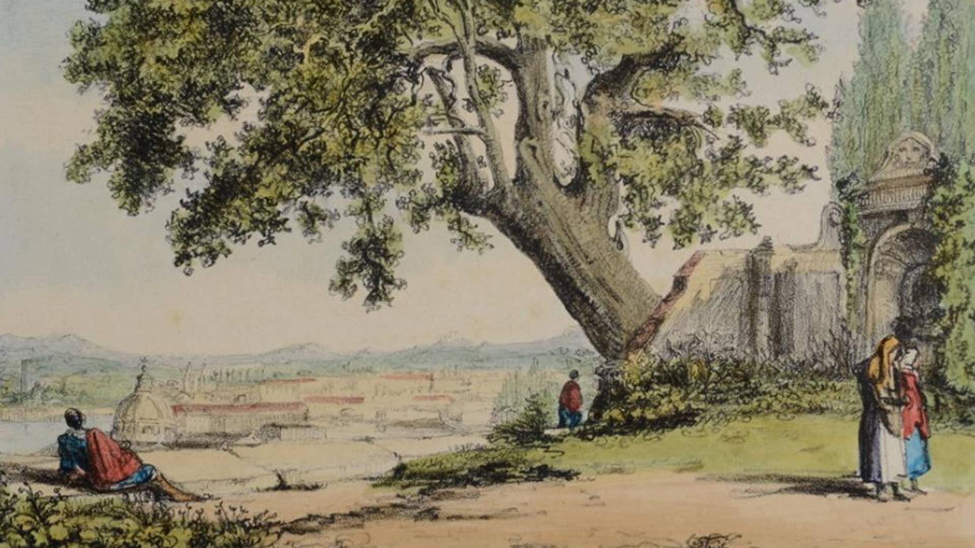 Museo di Roma in Trastevere_mostra La quercia del Tasso_Mary Callcott Graham 950 (1)