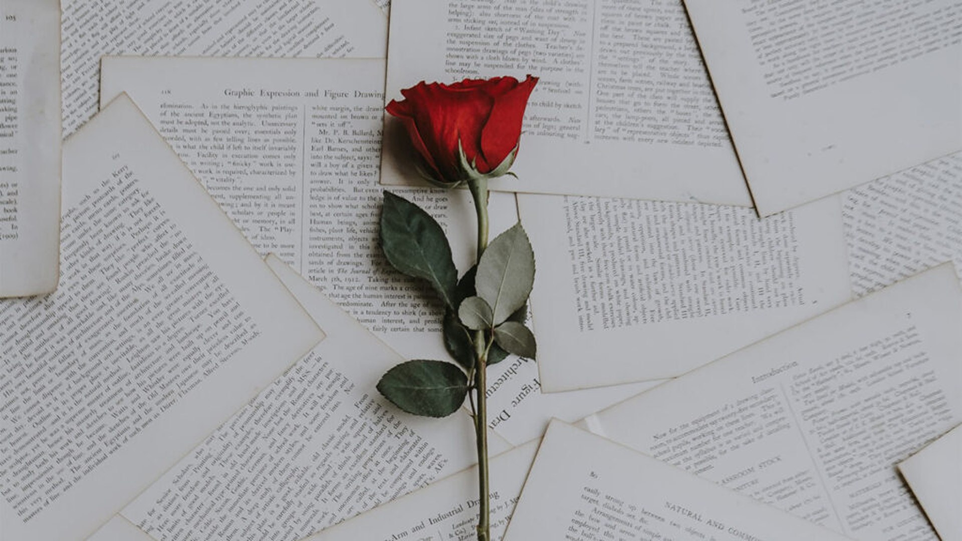 La più grande storia d’amore mai raccontata