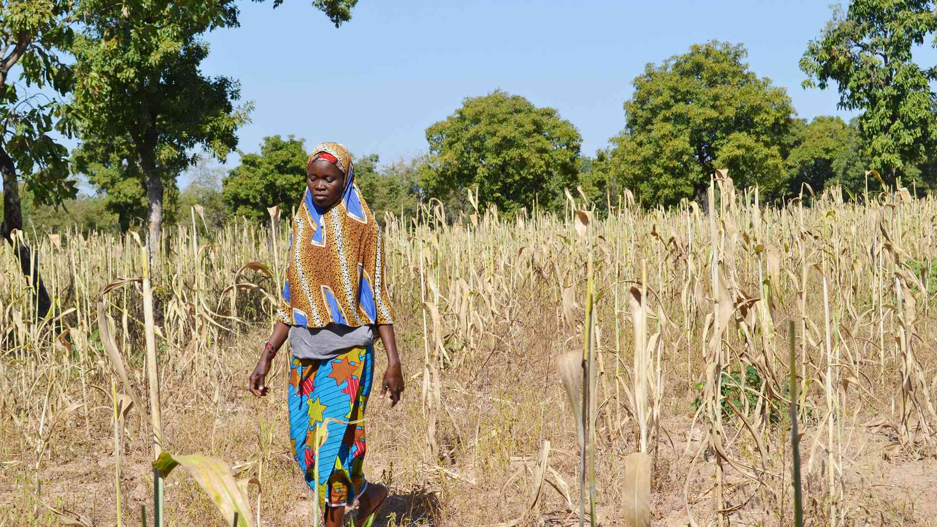La siccità può essere sconfitta!