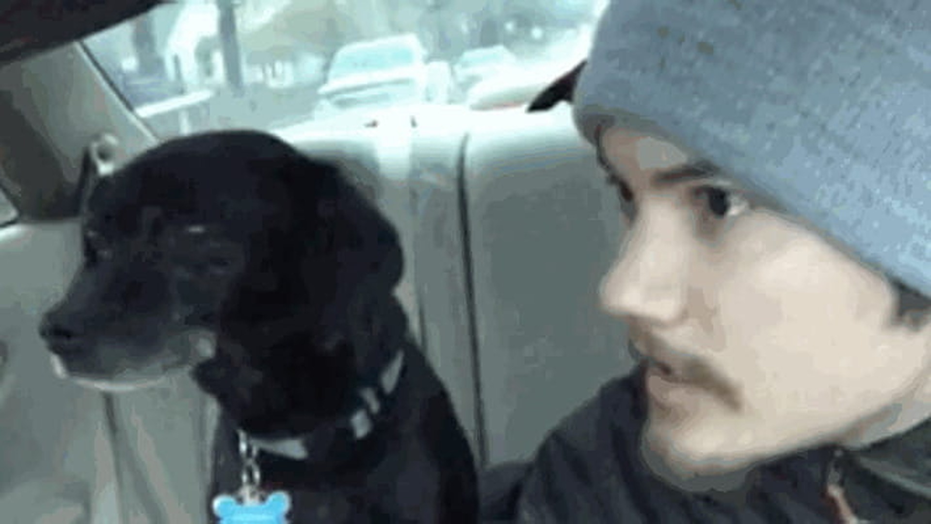 La storia del buongiorno. Un fa…ttorino fa… un salvataggio!