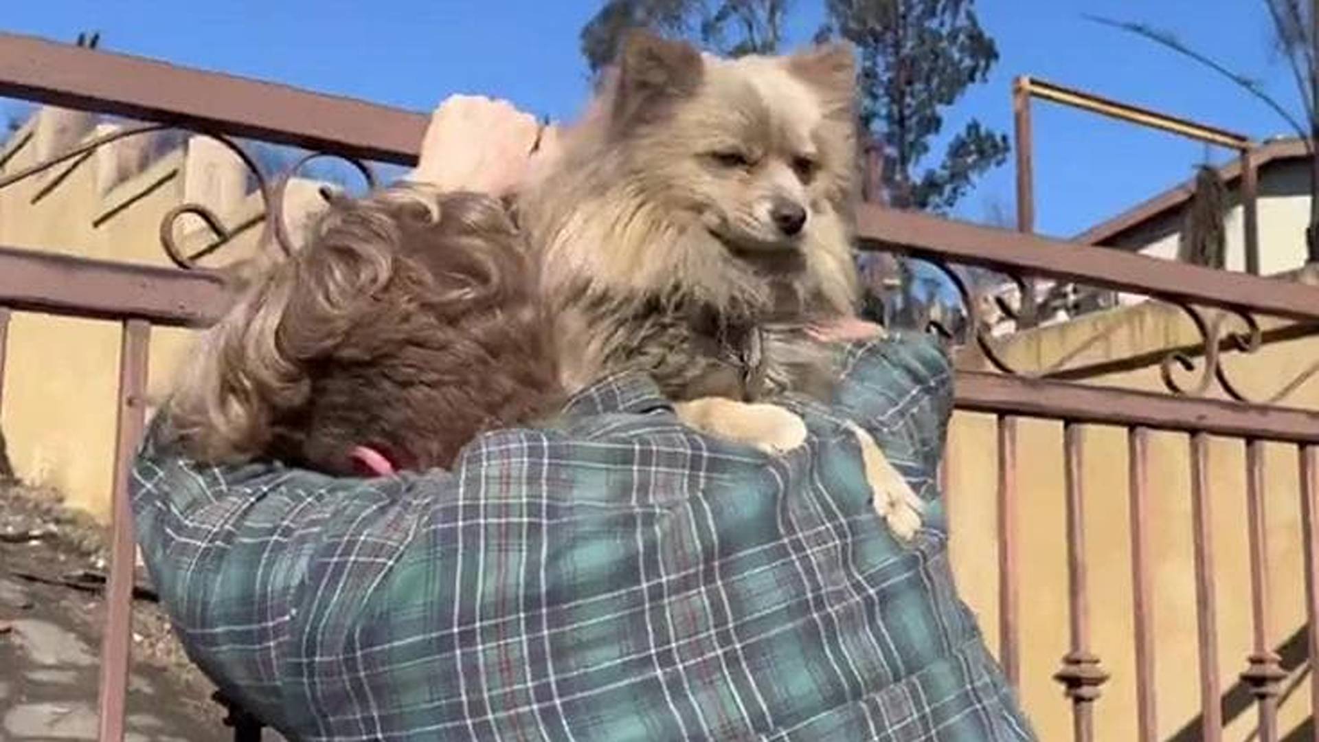 Un incendio d’amore