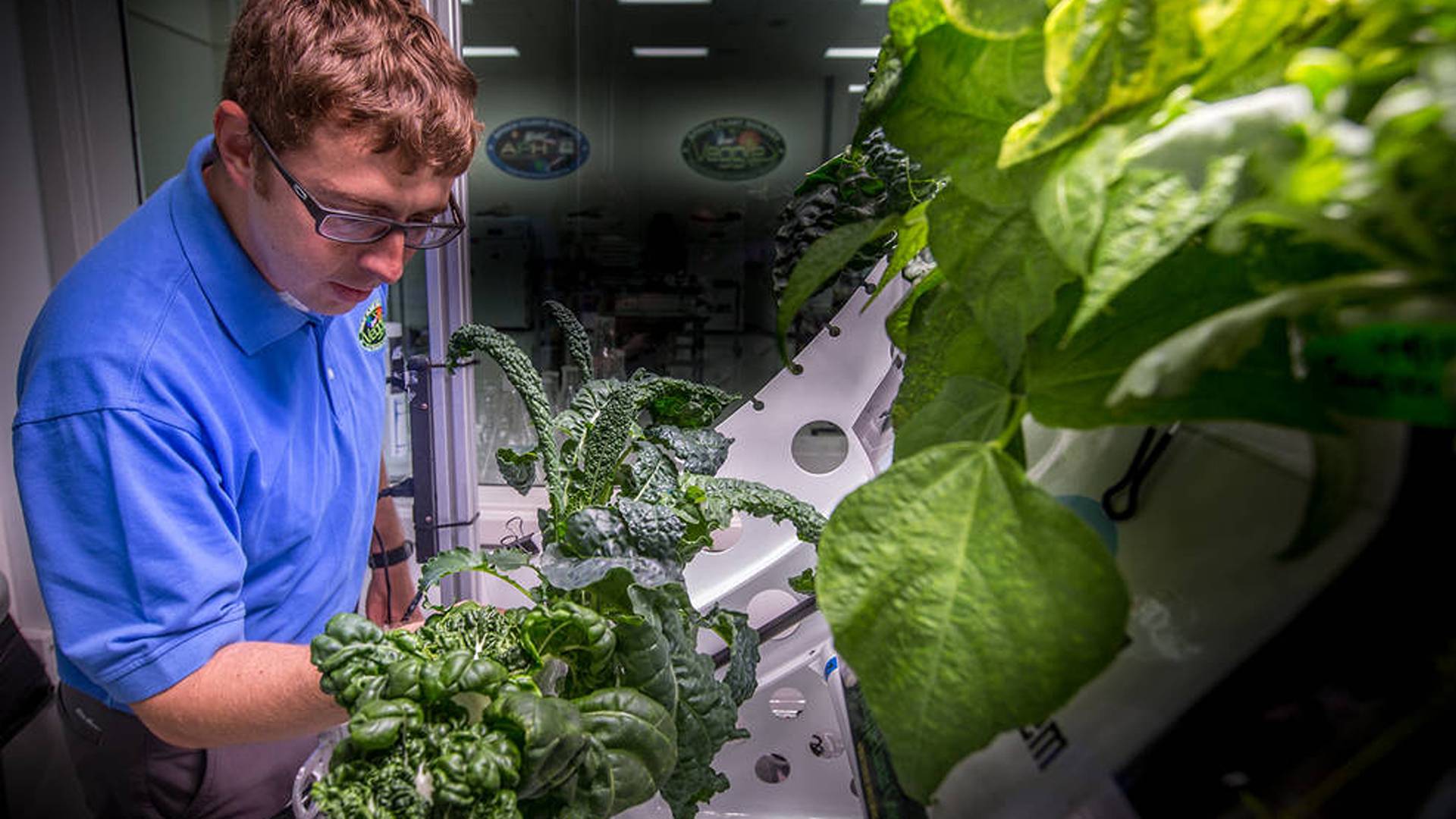 Verdure coltivate sulla Stazione Spaziale Internazionale. Sarà come in “2001, Odissea nello spazio”?