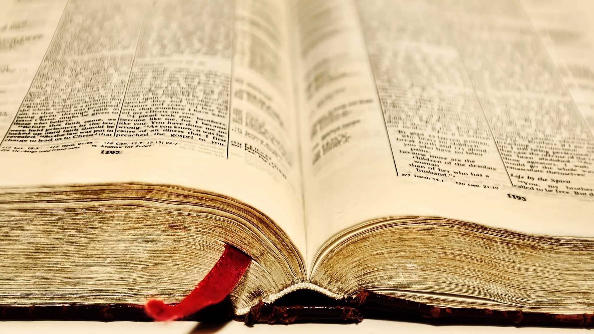 Appuntamento con Dio – Chi non cerca trova