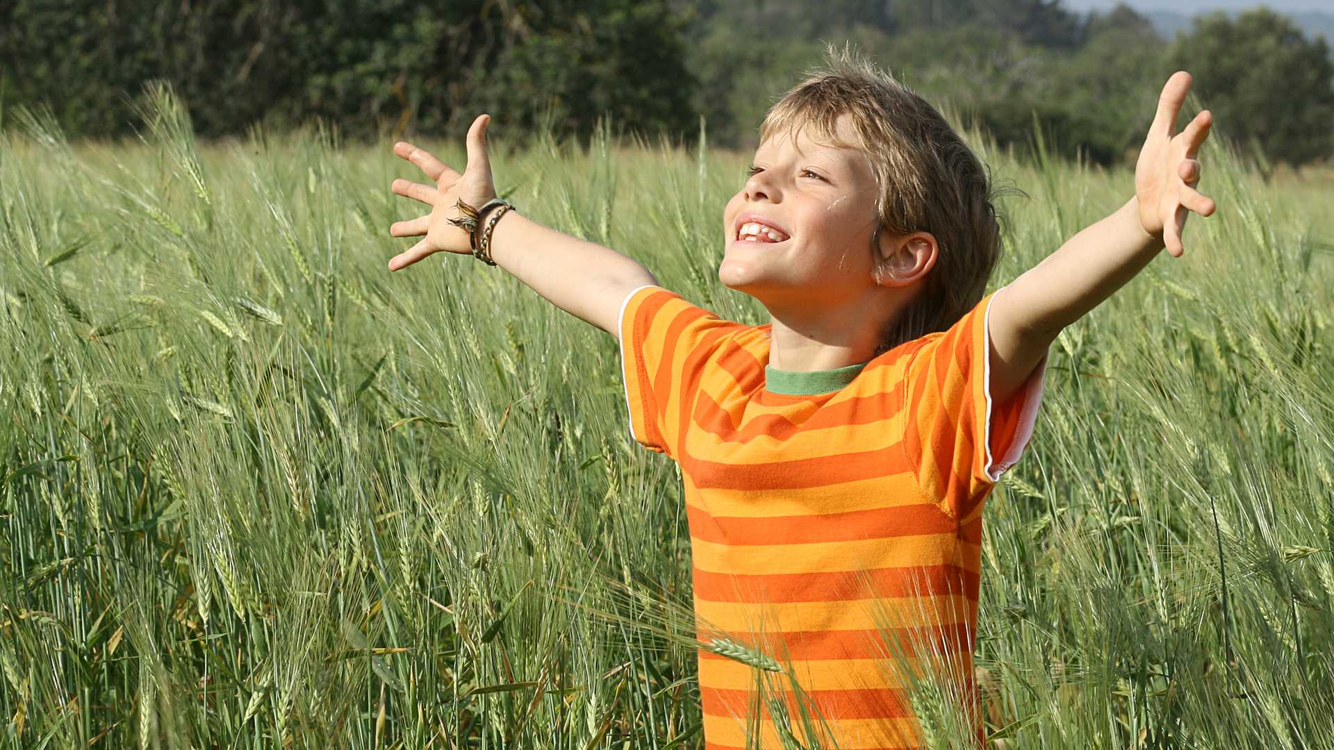 Scelte felici per tutti: scelte rimandate