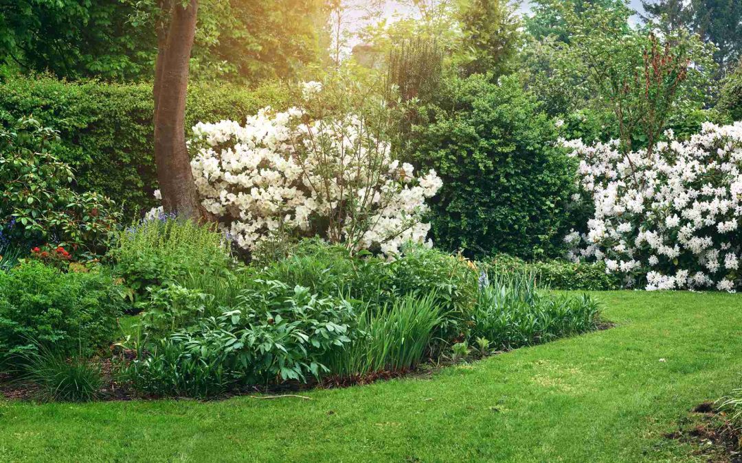 Festival del Verde e del Paesaggio 2025