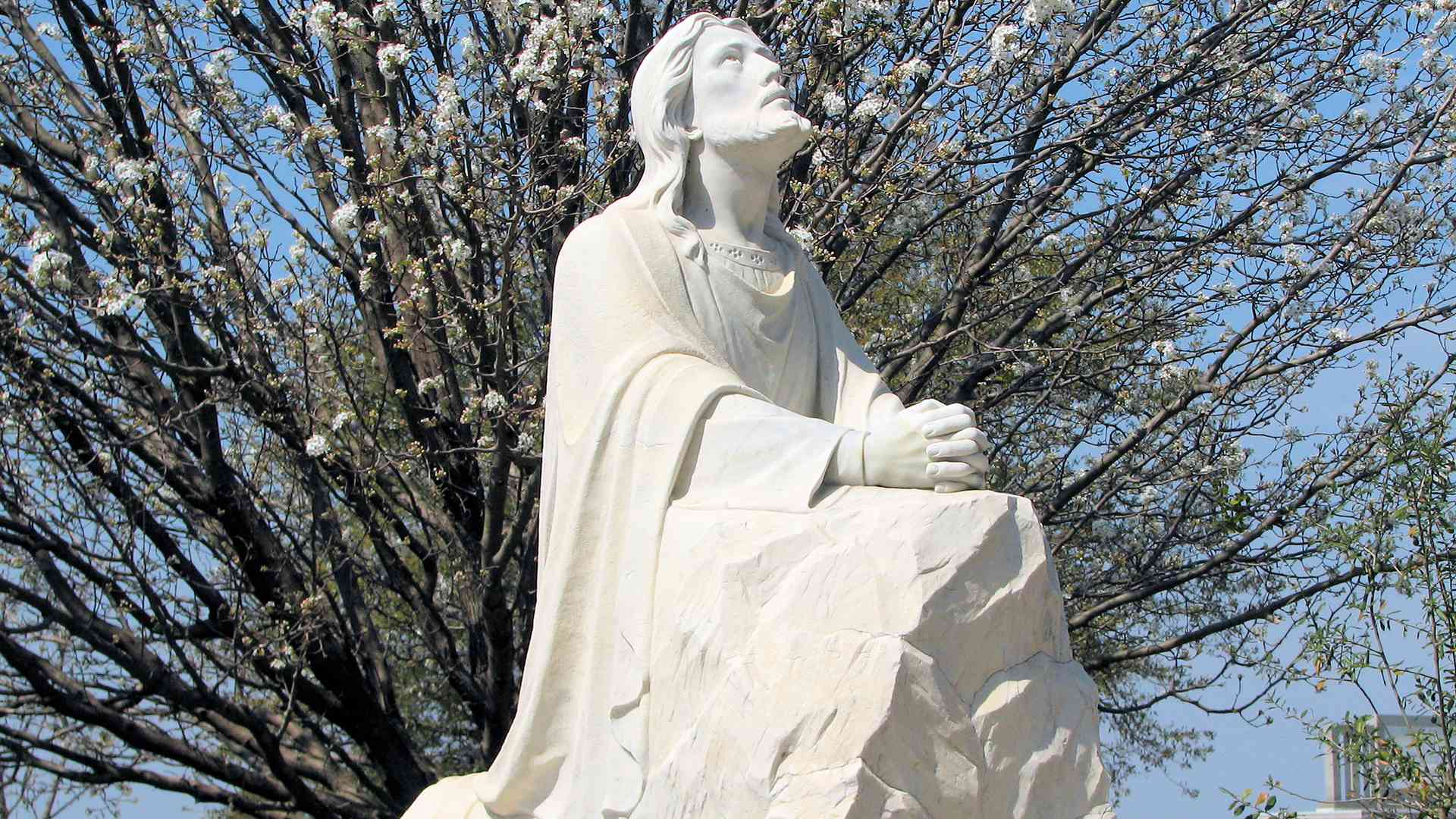 Storia del cristianesimo: immagini e sculture