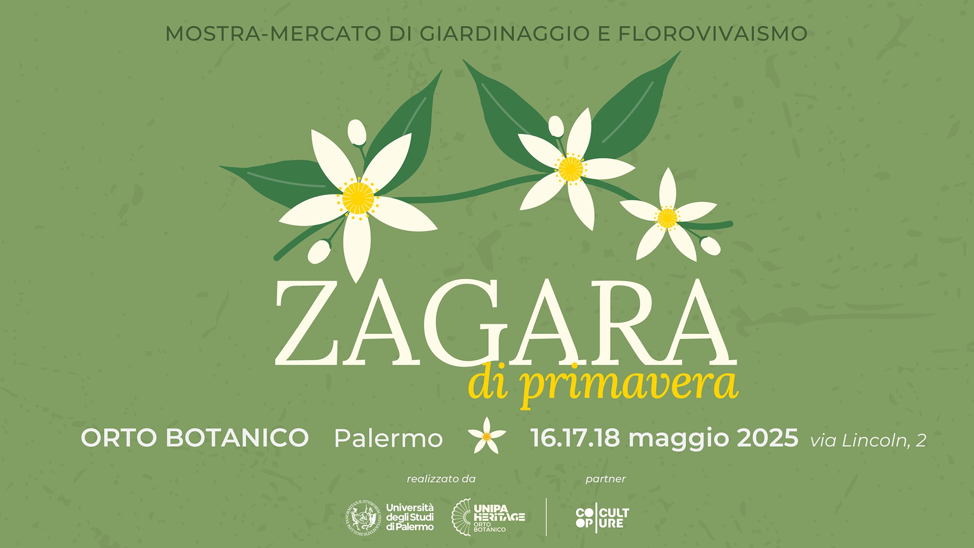 Zagara di primavera 2025