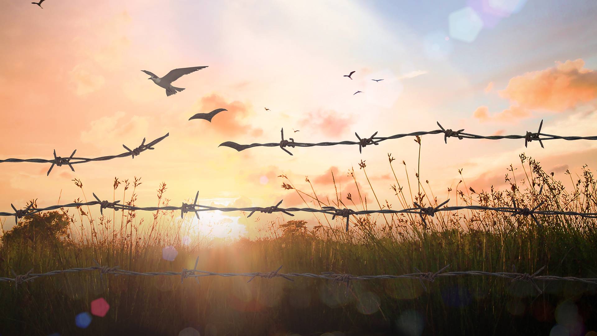 Libertà o sicurezza?