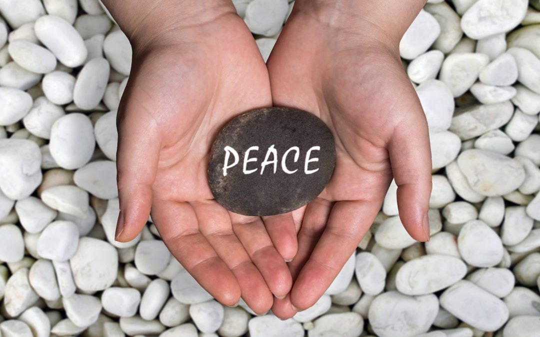 La passione per la pace e la giustizia