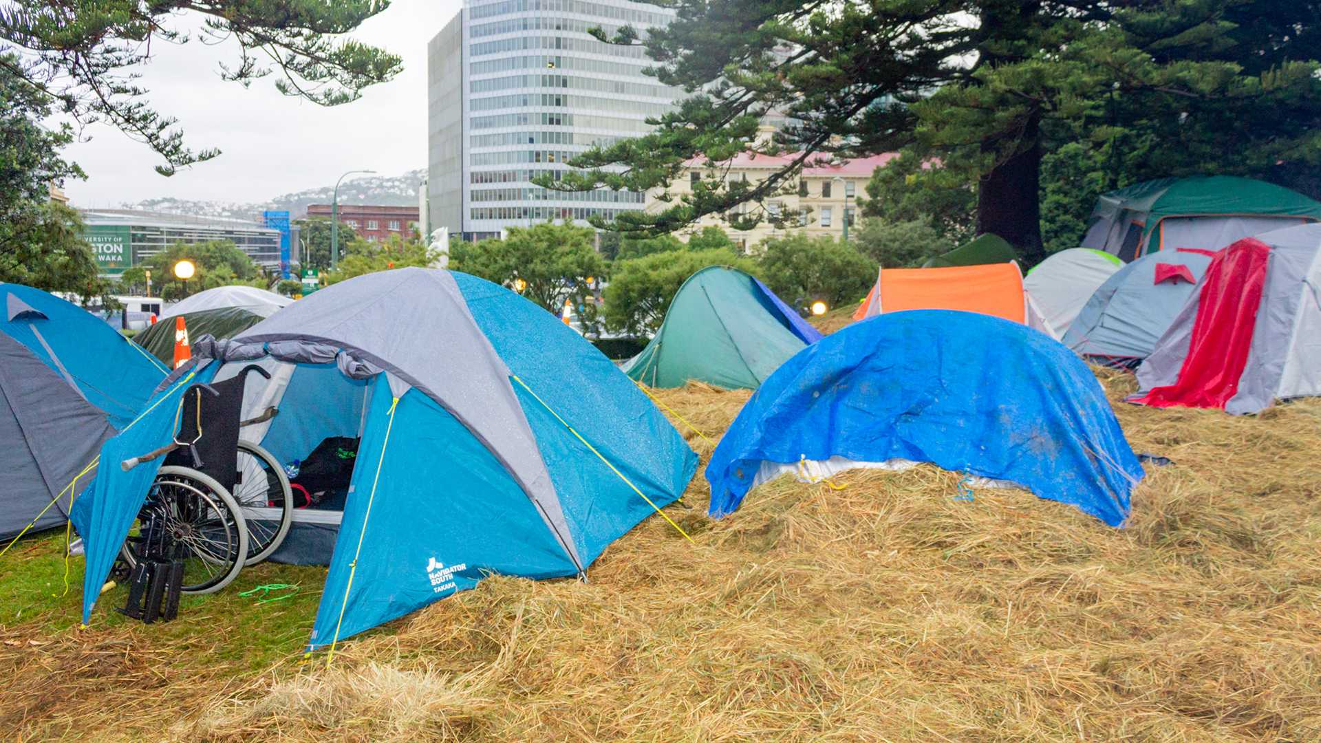 campeggio_disabilità