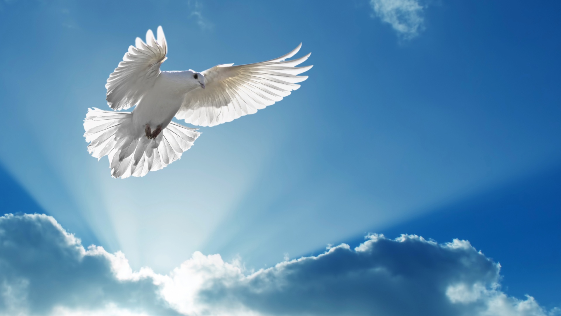 Battezzati in un unico Spirito