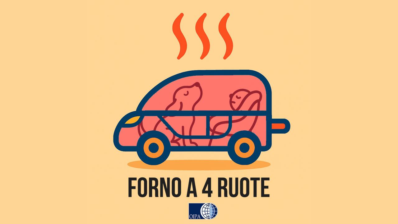 Animali chiusi al caldo in auto, che fare? Le indicazioni OIPA