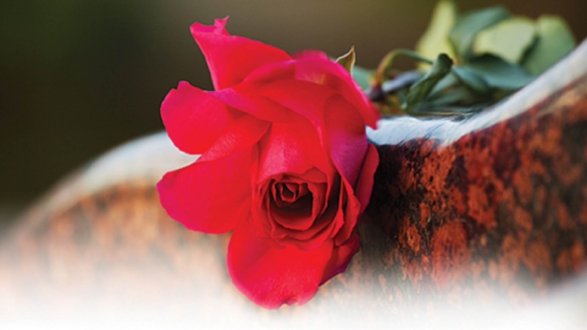 Funerali Dora Bognandi