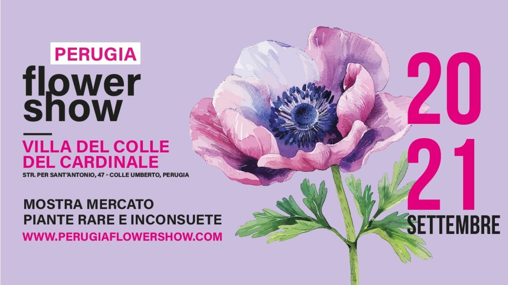 Perugia Flower Show 2025