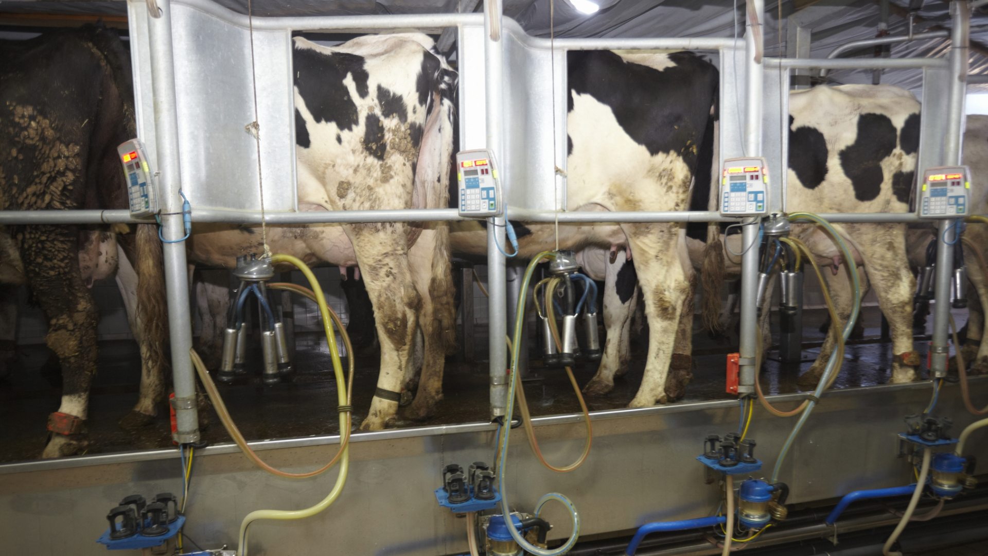 Vento di giovinezza: l’impatto delle scelte