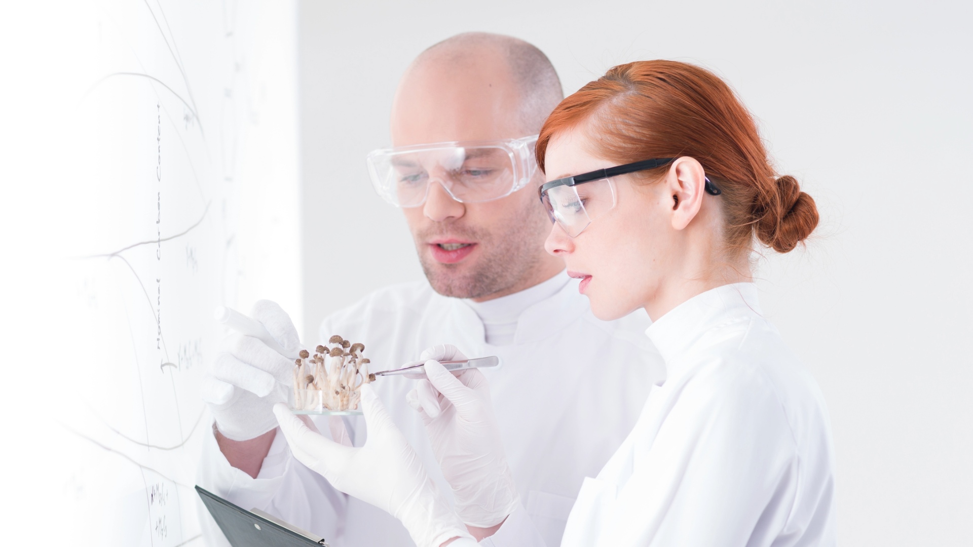 Un ambulatorio dei sani: quanto conta l’alimentazione