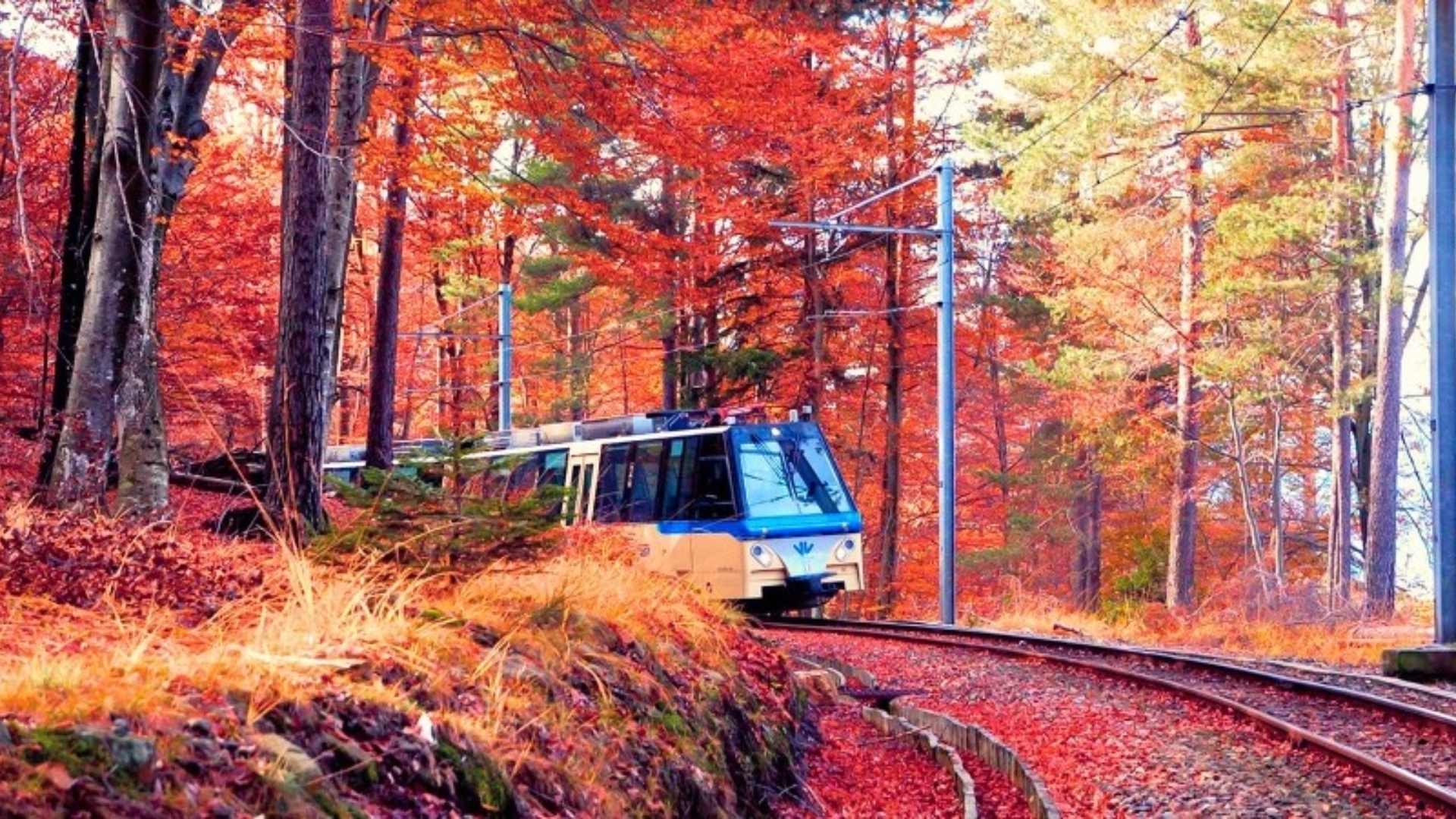 Treno del foliage 2025