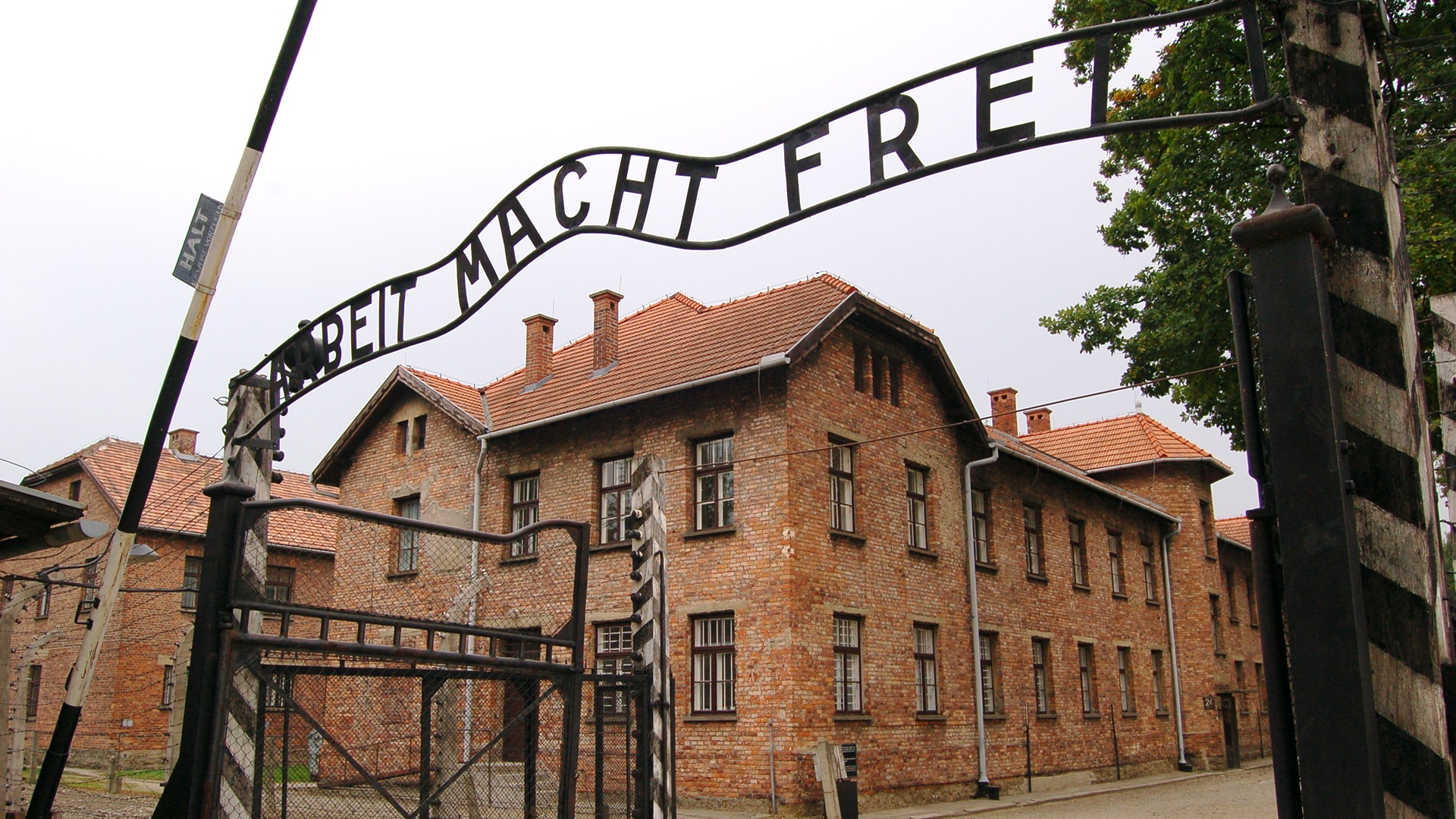 La verità vi farà liberi