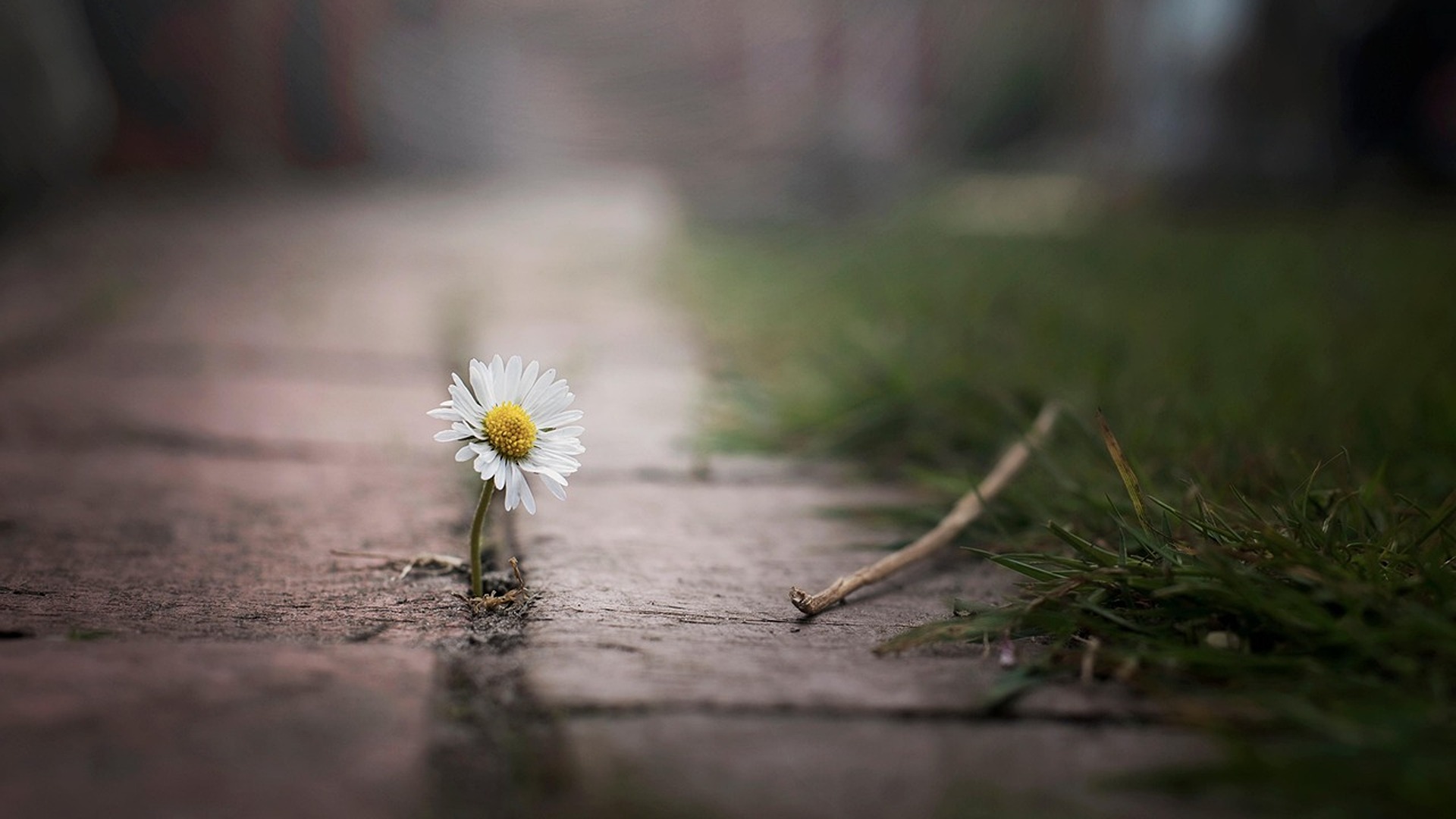 Culto evangelico-5 ottobre 2025