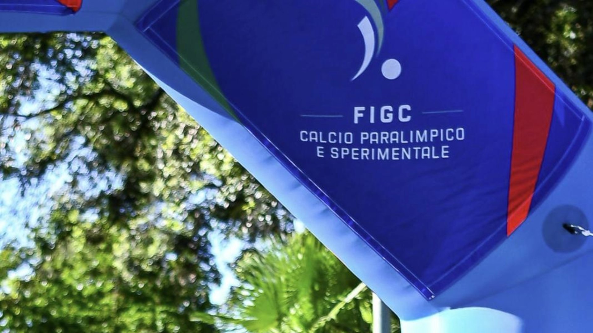 Calcio nazionale, paralimpico e sperimentale