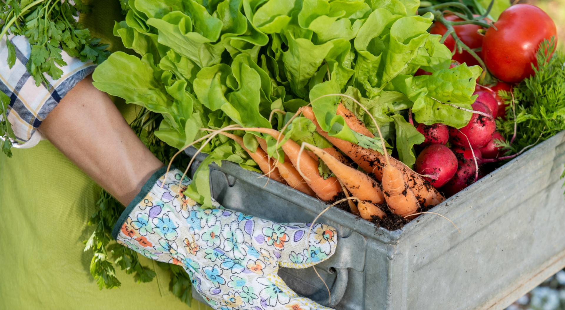 Salute e benessere: stagionalità