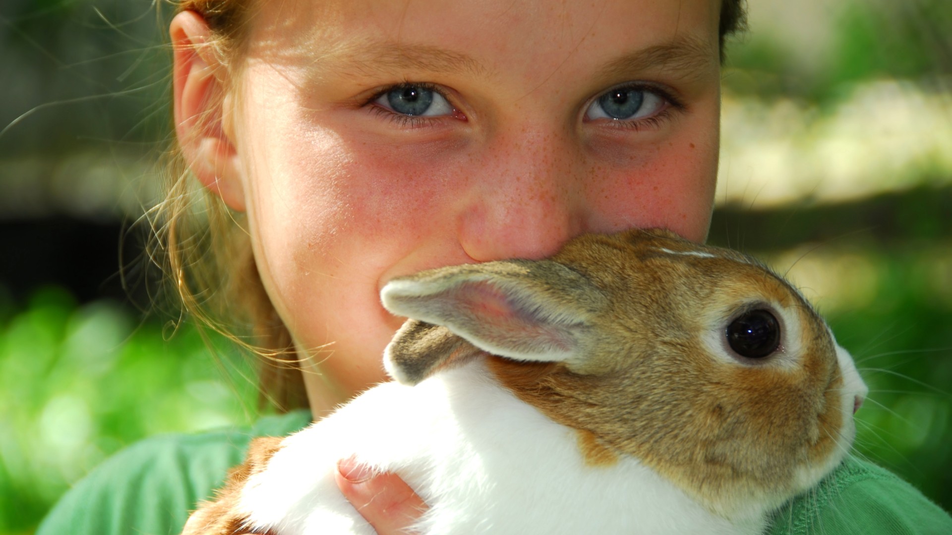 Un coniglio dal cilindro, solo per delle buone idee