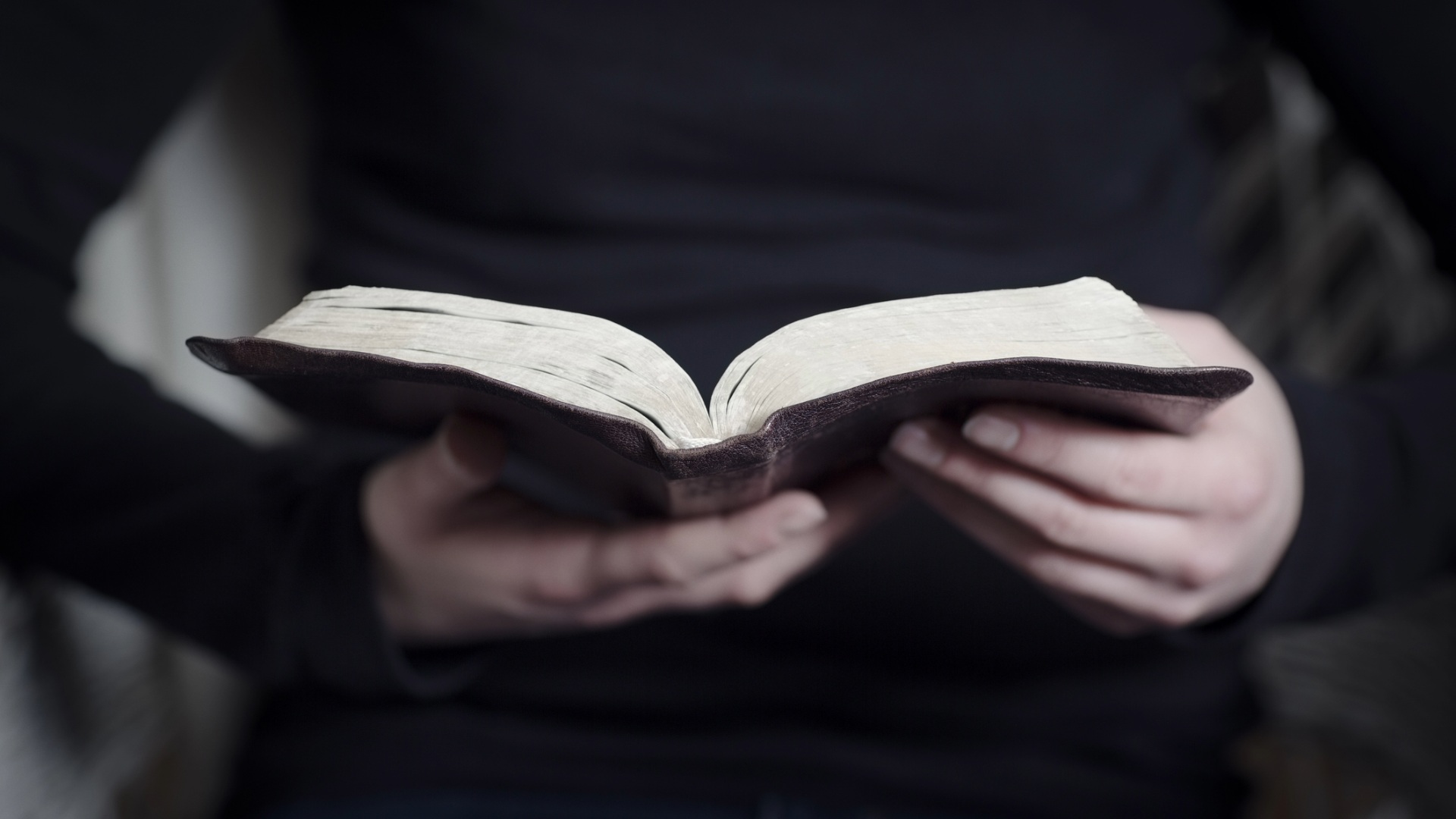 Credo per comprendere: “Le ragioni seminali”