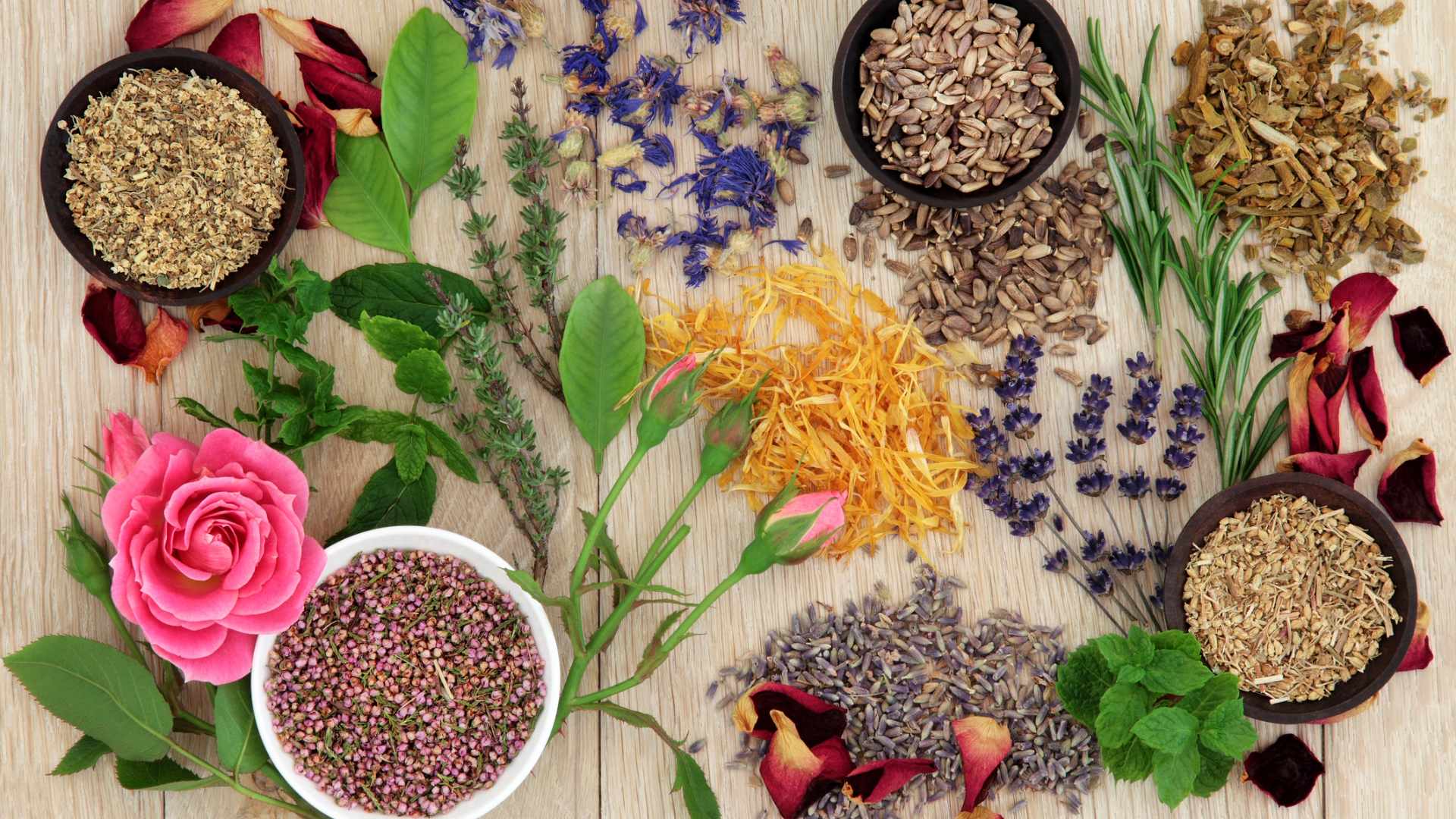 La medicina naturale: i quattro pilastri della longevità