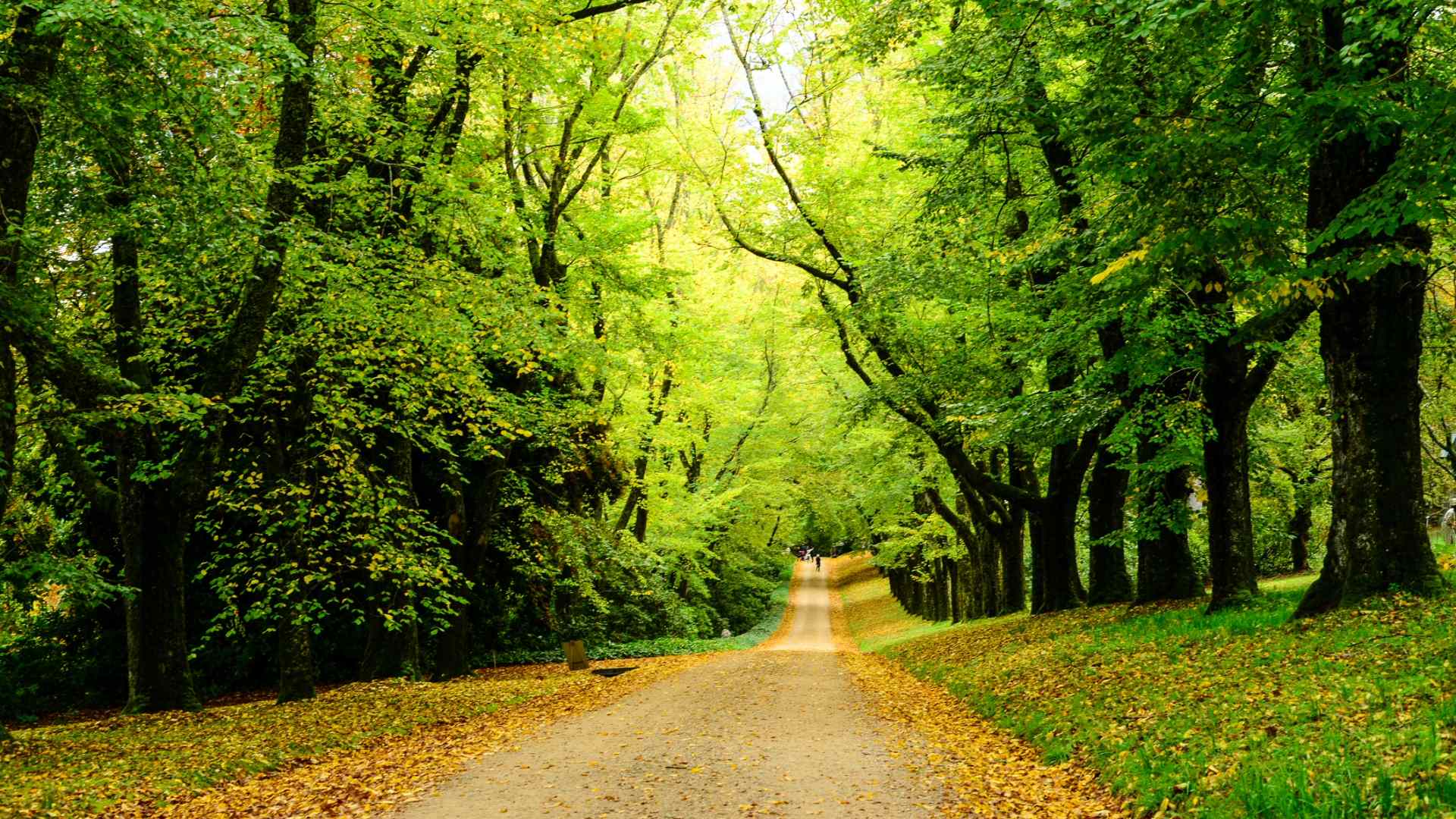 Cammino sinodale per un impegno comune
