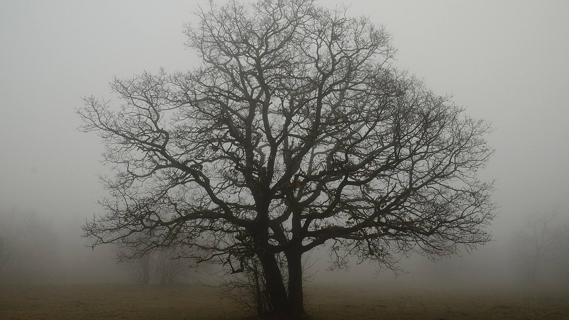 La domanda più importante