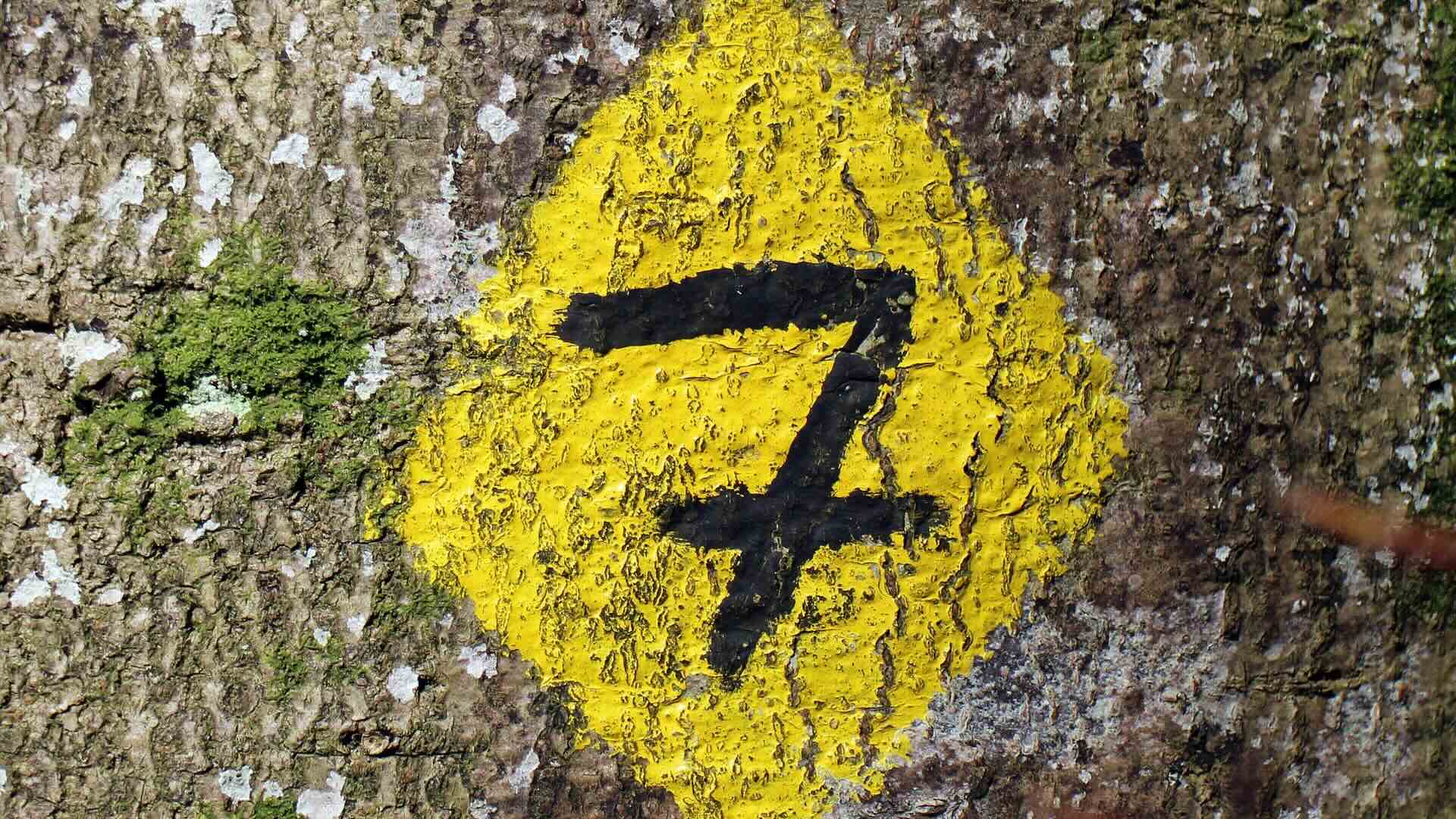 Il numero 7 nella Bibbia